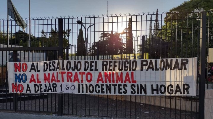 Denuncian que quieren cerrar un refugio canino para construir viviendas Procrear en El Palomar