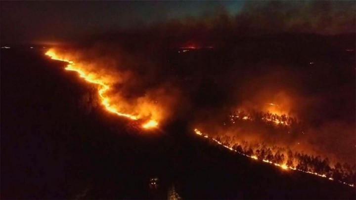 ¿Cómo funciona el servicio especializado para brindar para el combate aéreo de incendios forestales?