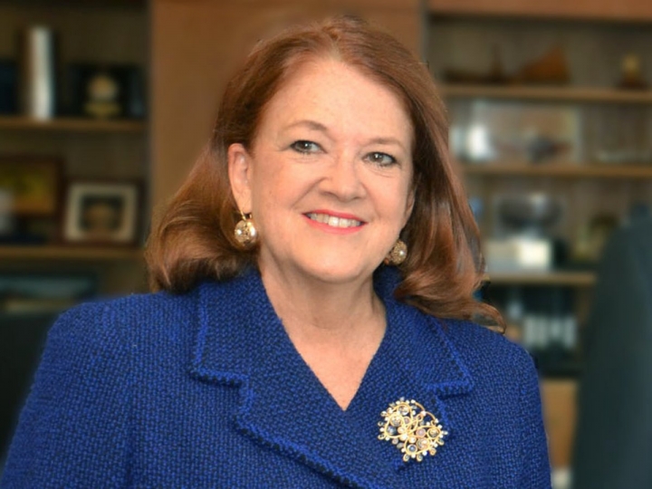 Alicia Castro: "Se est&aacute; mirando demasiado la opini&oacute;n de la oposici&oacute;n"