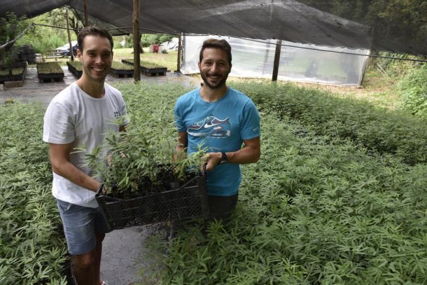 Dos jóvenes cordobeses crearon una "fábrica de árboles" que ya produjo 40 mil plantines
