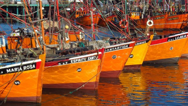 La historia de una familia de pescadores: "Nos pagan mal el kilo de pescado y lo venden caro"