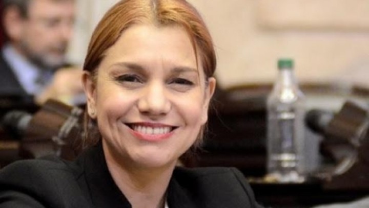 Karina Banfi: "Hice un pedido de acceso a la información, queremos saber quiénes pagan esos gastos"