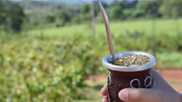 Nelson Dalcomo: "Al productor de yerba le pagan 200 pesos por kilo, y en el supermercado el kilo cuesta 3.00"