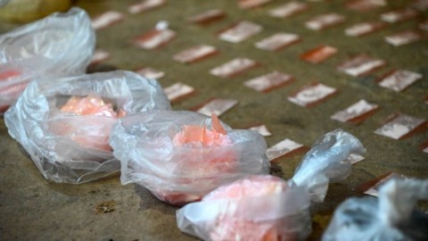 Informe sobre la cocaína envenenada: “En el contexto vulnerable, la droga hace desastres”