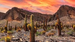 Emilio Daher: "Al visitante del parque le falta apropiarse realmente del lugar y cuidarlo como corresponde"