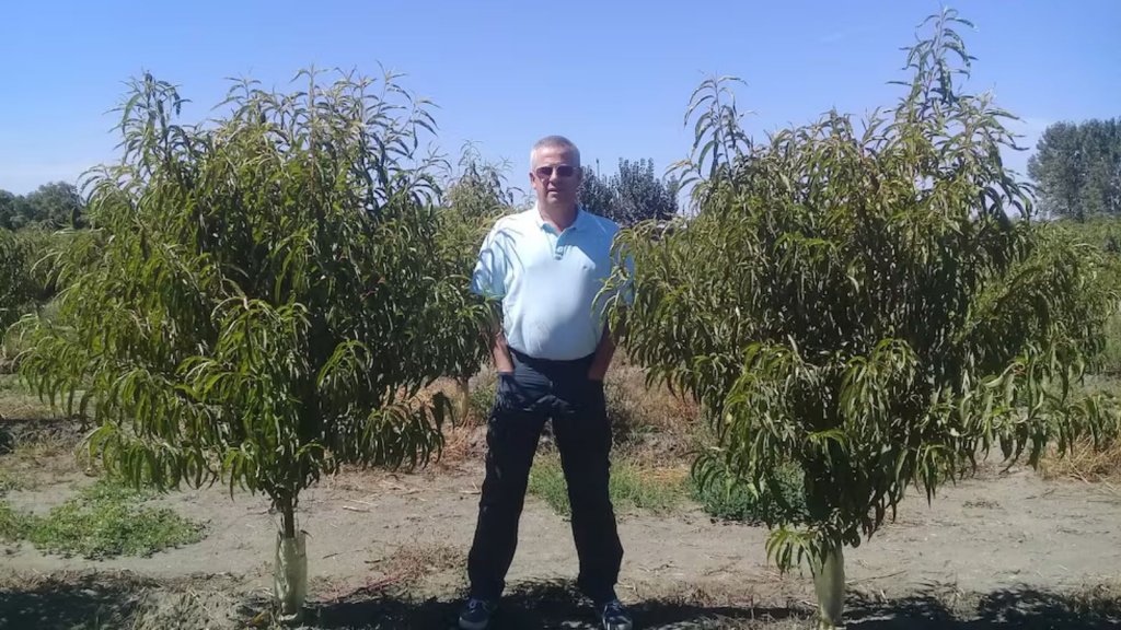 Alain Boulet: “El consumo de fruta industrializada está creciendo en el mundo”