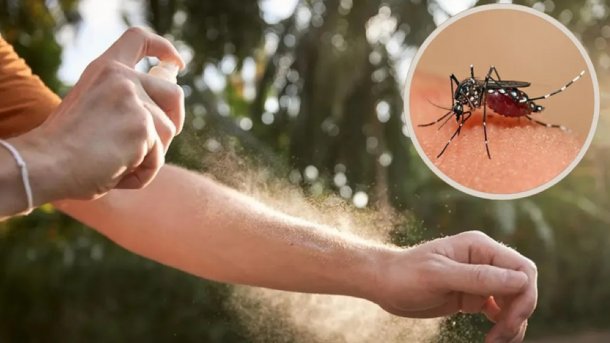 Hugo Pizzi: "Se vienen días muy complicados con el crecimiento de casos de dengue en Argentina"