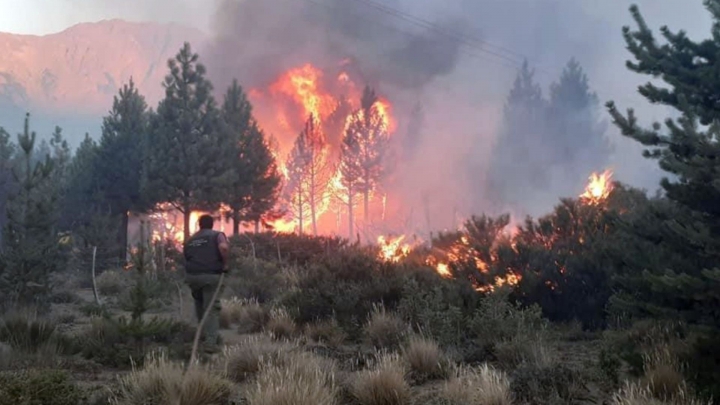 El intendente de El Bolsón aseguró que la situación por el incendio &quot;es compleja&quot;