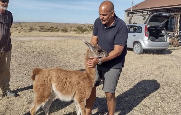 Victor Fratto: "Todos los animales merecen vivir en libertad"