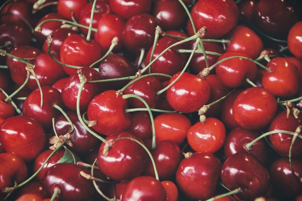 Destacan la producción de cerezas en Tierra del Fuego