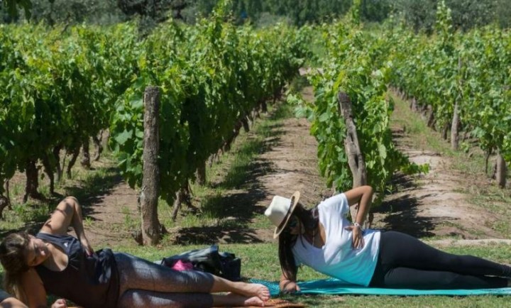 Unió sus dos pasiones a raíz de un retiro espiritual que cambió su vida: lanzó &quot;Yoga entre viñedos&quot;