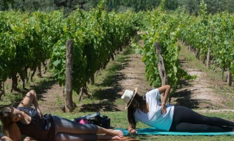 Unió sus dos pasiones a raíz de un retiro espiritual que cambió su vida: lanzó "Yoga entre viñedos"