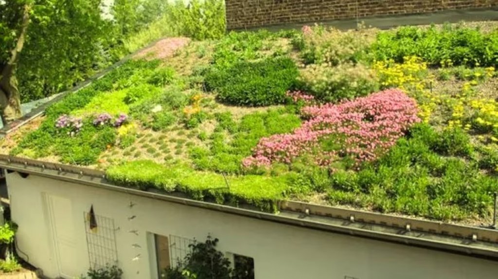 Arroyo Leyes: el pueblo de casas con plantas en el techo