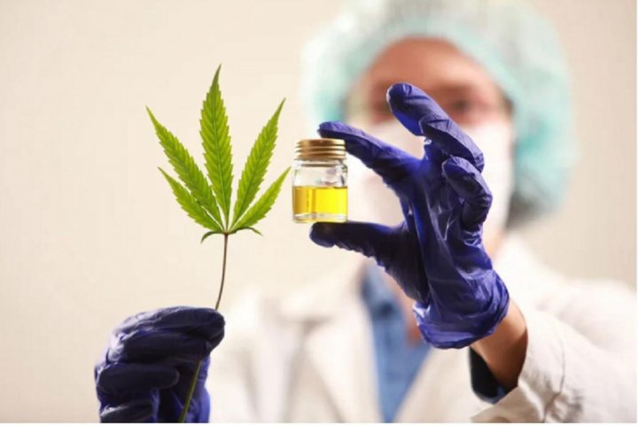 Dra. Flavia Aragón: &quot;En la legislatura de Chubut votamos por unanimidad que el cannabis medicinal es una herramienta terapéutica válida que el paciente necesita&quot;