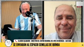 La NASA enviar&aacute; semillas argentinas de qu&iacute;noa al espacio