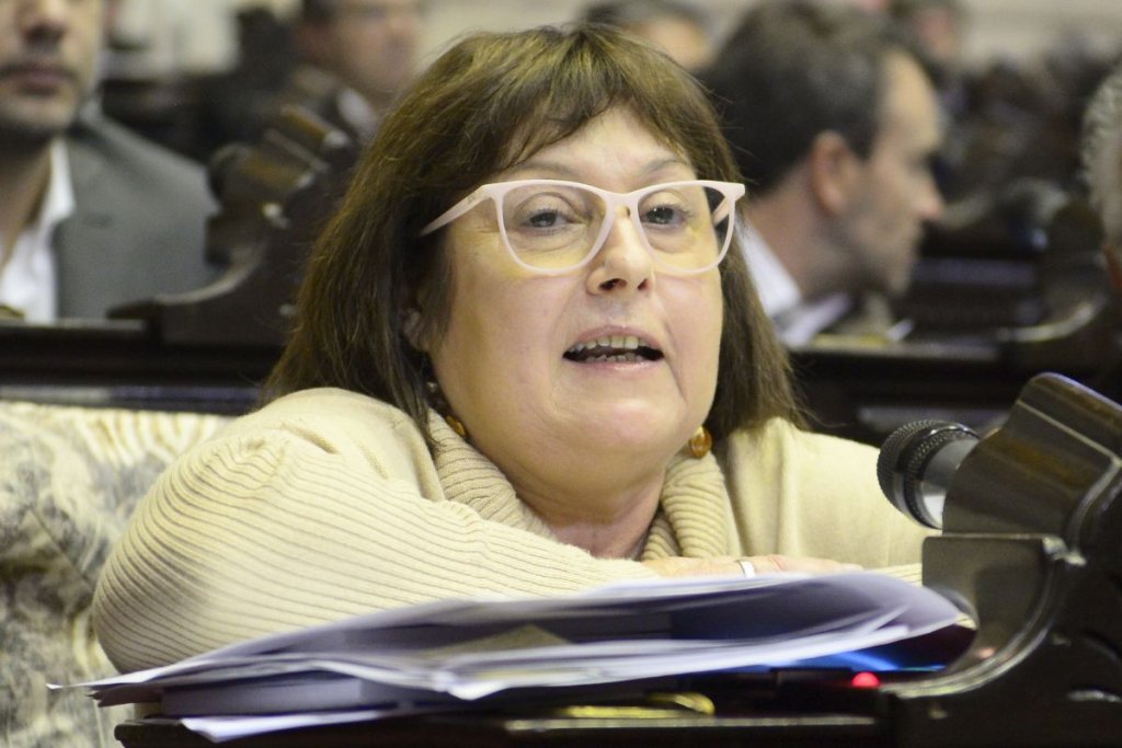 Graciela Ocaña: &quot;Milei debería suspender la jubilación de Alberto Fernández porque no cumple con los requisitos&quot;