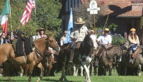 Gloria Araoz: "Los huesos de los caballos están enterados en el Cardal"