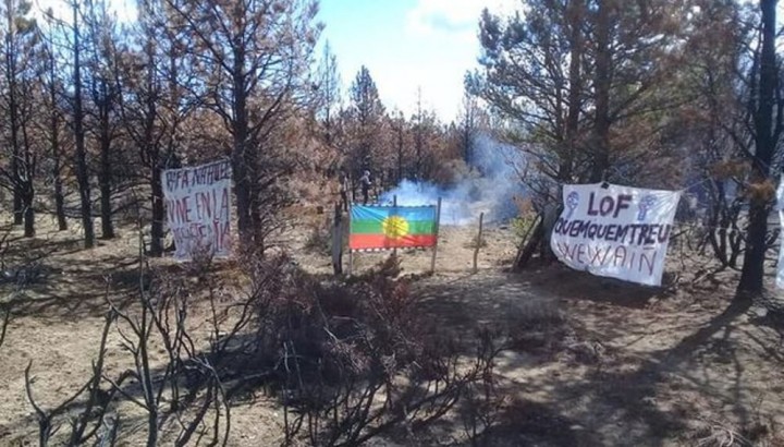 Diego Frutos, sobre el conflicto con los mapuches: &quot;Magdalena Odarda fogonea todas estas situaciones&quot;