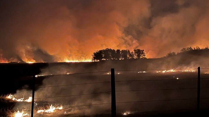 El INTA informó que se incendió el 9% del territorio correntino