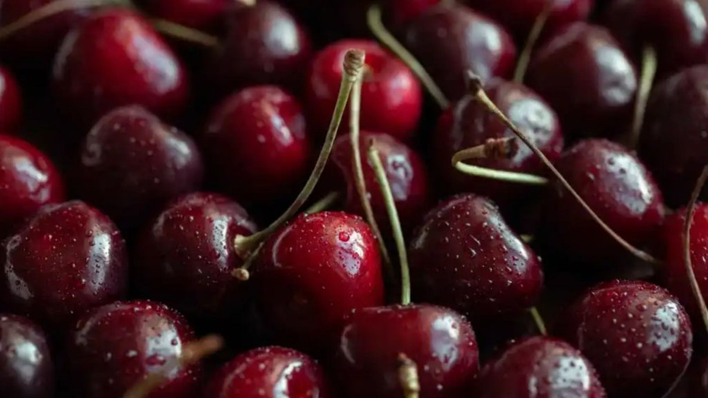 Todo sobre la producción y exportación de cerezas argentinas