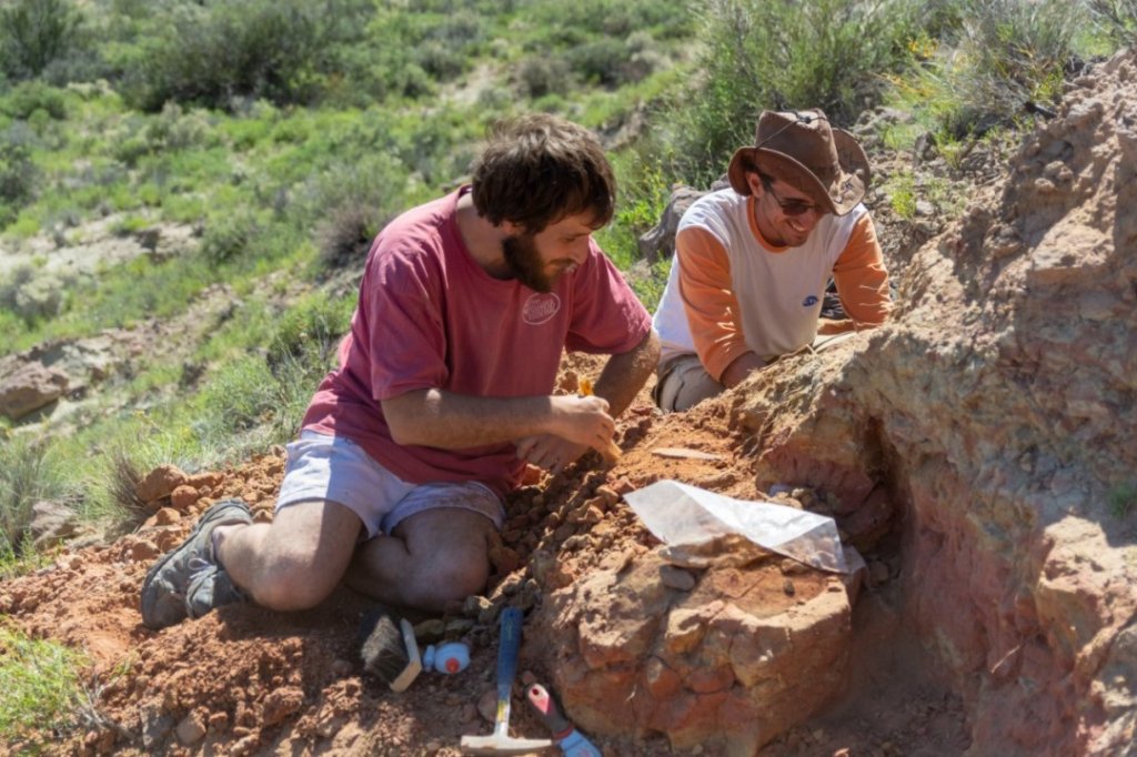 Encontraron una nueva especie de dinosaurio «pico de pato» en Río Negro