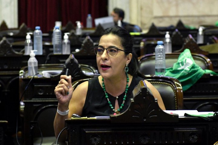 Carolina Moisés: "El argumento del juicio a la Corte es que no son jueces independientes"