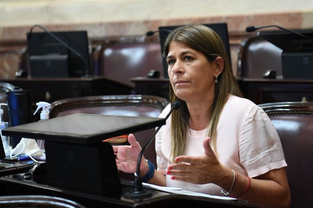 Guadalupe Tagliaferri: "Trabajamos para un Congreso de cara a la gente y no para la agenda judicial de Cristina"